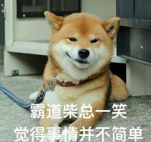 年下狼狗撩得姐姐面红心跳短剧在线观看  年下狼狗撩得姐姐面红心跳短剧在线观看，年下狼狗撩得姐姐面红心跳，短剧在线观看--第1张