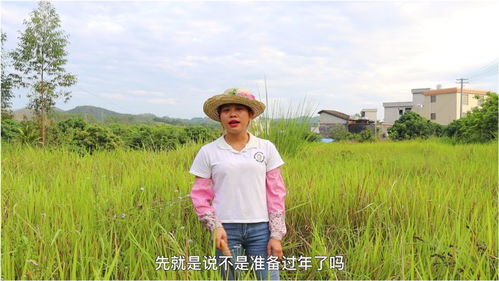 这乡下人真牛短剧在线观看  这乡下人真牛短剧在线观看，乡村牛人，乡下人的奋斗故事--第1张