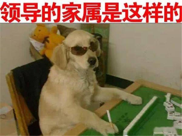 二狗的开挂人生短剧在线观看  二狗的开挂人生短剧在线观看，二狗的开挂人生，短剧在线观看，人生从此不同--第1张