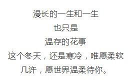 世界对我温柔以待短剧在线观看  世界对我温柔以待短剧在线观看，世界对我温柔以待，短剧在线观看--第1张