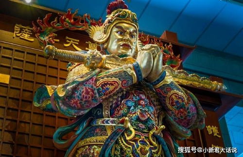 万道天尊短剧在线观看  万道天尊短剧在线观看，万道天尊在线短剧--第1张