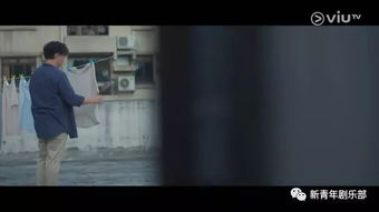 一切从妻子跳楼开始短剧在线观看  一切从妻子跳楼开始，妻子跳楼后--第1张