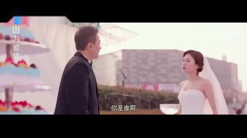 最强保镖美女总裁来抢婚短剧在线观看  最强保镖美女总裁来抢婚短剧在线观看--第1张