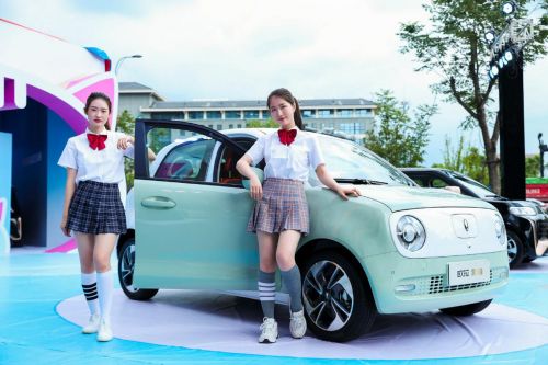欧拉黑猫2022款价格_欧拉黑猫2022款价格图片黑白--第1张