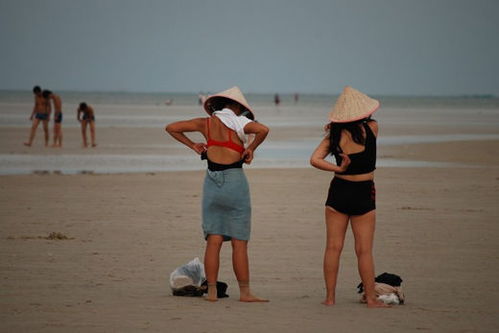 海小姐跑不掉啦短剧在线免费观看全集  海小姐跑不掉啦短剧在线免费观看全集，海小姐的命运之谜，跑不掉啦短剧在线免费观看全集--第1张