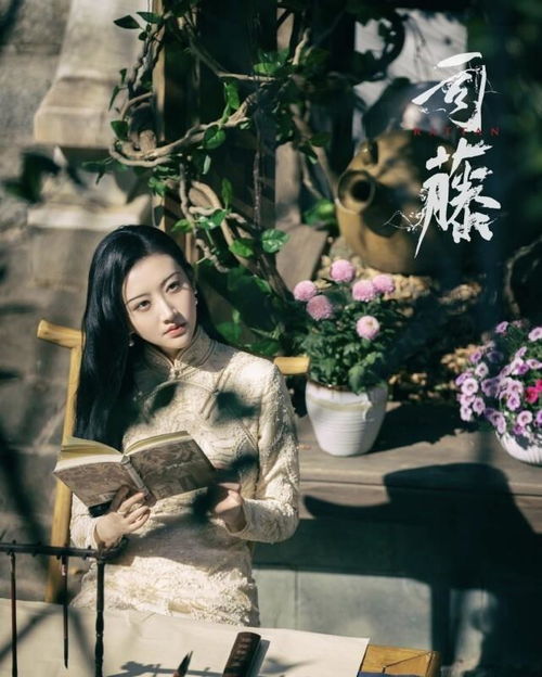 谁摘了傅总的蔷薇短剧在线免费观看全集  谁摘了傅总的蔷薇短剧在线免费观看全集--第1张