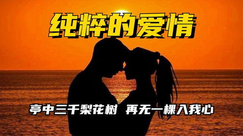 拼尽全力去爱你短剧在线免费观看全集  拼尽全力去爱你短剧在线免费观看全集，拼尽全力去爱你，全集--第1张