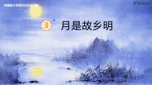 月是故乡明短剧在线免费观看全集  月是故乡明短剧在线免费观看全集--第1张