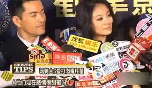 豪门后妈不好当短剧在线免费观看全集  豪门后妈不好当短剧在线免费观看全集，豪门后妈不好当短剧在线免费观看全集，豪门家族的纠葛与爱情--第1张