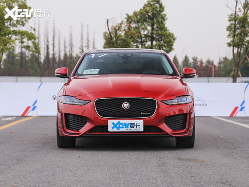 jaguar捷豹_jaguar捷豹xel--第1张
