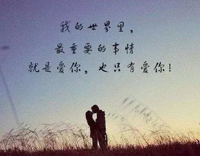 离婚后言少他后悔了短剧在线免费观看全集  离婚后言少他后悔了，离婚后言少后悔了，前妻，求复婚！--第1张
