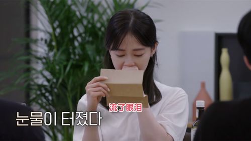 再婚前任死对头短剧在线免费观看全集  再婚前任死对头短剧在线免费观看全集，再婚前任死对头短剧在线免费全集观看，再婚生活中的情感纠葛--第1张