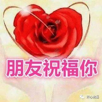 再见祝你幸福短剧在线免费观看全集  再见，祝你幸福--第1张