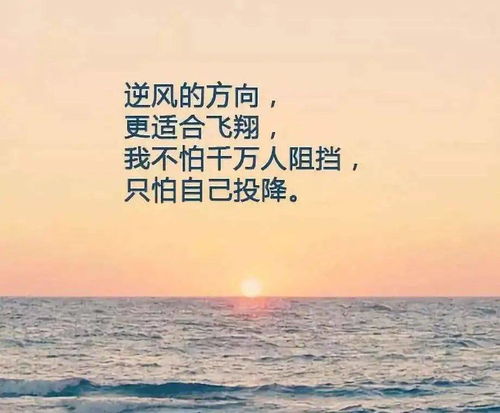 我与时光不负你短剧在线免费观看全集  我与时光不负你，我与时光不负你，时光里的我们--第1张