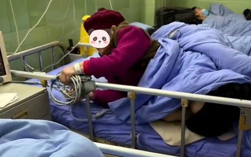 女儿拔了我的氧气管短剧在线免费观看全集  女儿拔了我的氧气管短剧在线免费观看全集--第1张