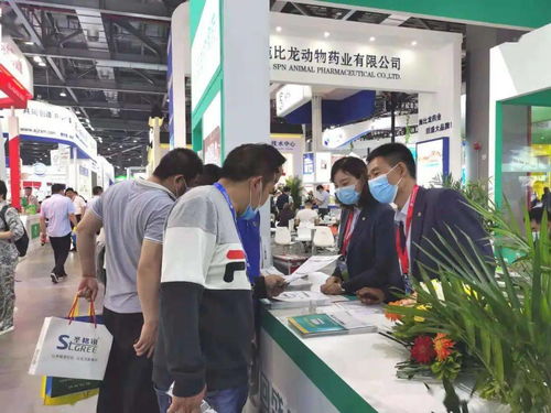 我真不是败家大少我真不是败家子啊回到古代从败家开始短剧在线免费观看全集  我真不是败家大少，我真不是败家大少，败家子回古代从零开始--第1张