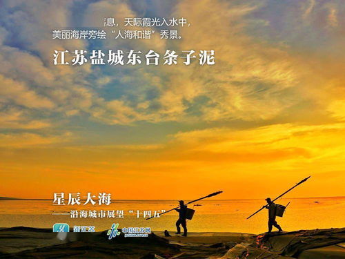 星辰大海不如你短剧在线免费观看全集  星辰大海不如你--第1张