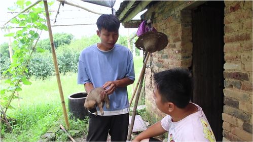 大叔在左奶狗在右短剧在线免费观看全集  ，大叔在左，奶狗在右，短剧在线免费观看全集--第1张