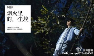 烟火里的尘埃短剧在线免费观看全集  烟火里的尘埃，烟火里的尘埃在线免费观看全集--第1张