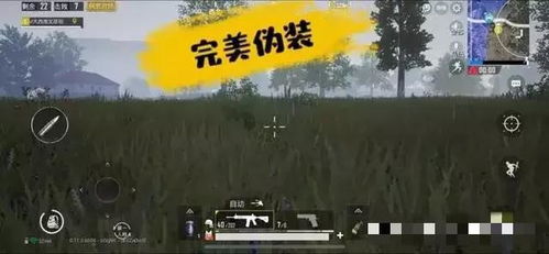 神级快递员短剧在线免费观看全集  神级快递员短剧在线免费观看全集--第1张