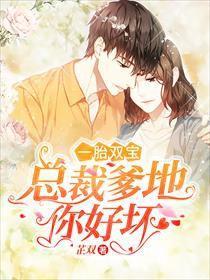 一胎双宝爹地宠妻要趁早长篇短剧在线免费观看全集  一胎双宝爹地宠妻要趁早长篇短剧在线免费观看全集，一胎双宝，爹地，宠妻要趁早长篇短剧在线免费观看全集--第1张