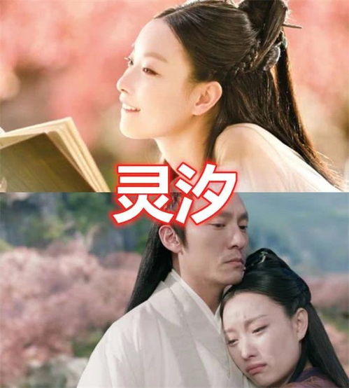 失忆前夫爱上我短剧在线免费观看全集  失忆前夫爱上我短剧在线免费观看全集，失忆前夫爱上我短剧在线免费全集观看--第1张