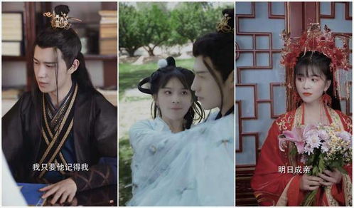 权宠娇妃短剧在线免费观看全集  权宠娇妃短剧在线免费观看全集，权宠娇妃短剧在线免费观看全集之宠爱--第1张