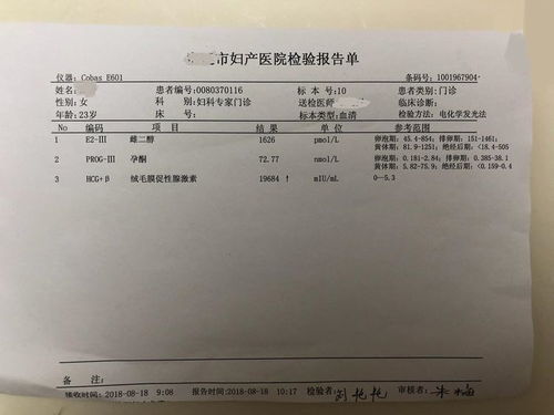 离婚后前夫捡到了我的孕检单短剧在线免费观看全集  ，离婚后前夫捡到了我的孕检单--第1张