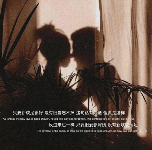千钧一发之局中局长篇短剧在线免费观看全集  千钧一发之局中局长篇短剧在线免费观看全集，千钧一发之局中局长篇，局长篇短剧在线免费观看全集--第1张