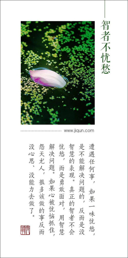 黑莲花上位手册智者不入爱河娘娘拆桥过河短剧在线免费观看全集  黑莲花上位手册，智者不入爱河，娘娘拆桥过河短剧在线免费观看全集