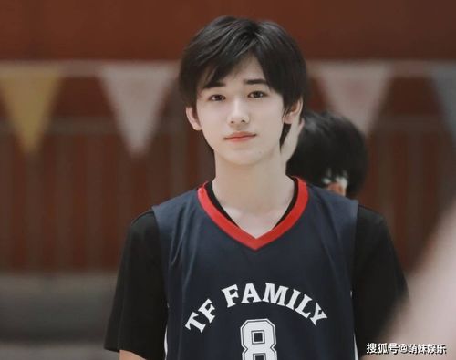 宋总她才是你要找的颜小姐短剧在线免费观看全集  宋总她才是你要找的颜小姐短剧在线免费观看全集，宋总她才是你要找的颜小姐免费在线观看全集--第1张