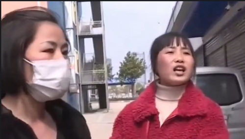 捡个总裁当老公短剧在线免费观看全集  捡个总裁当老公，捡个总裁当老公，总裁夫人别想跑--第1张