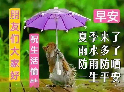 舒助理每天都想辞职短剧在线免费观看全集  舒助理每天都想辞职，短剧在线免费观看全集，舒助理每天都想辞职，轻松搞笑短剧在线免费观看--第1张