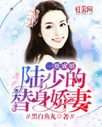 替身新娘陆总的第一宠妻短剧在线免费观看全集  替身新娘陆总的第一宠妻短剧在线免费观看全集--第1张