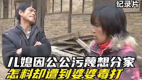分家后我狂虐极品婆婆短剧在线免费观看全集  分家后我狂虐极品婆婆短剧在线免费观看全集--第1张