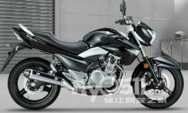 铃木gw250摩托车报价_铃木gw250摩托车报价及图片--第1张