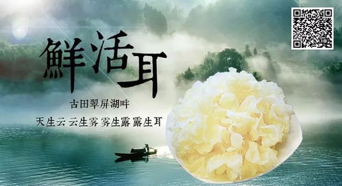 来自深山的凝望长篇短剧在线免费观看全集  来自深山的凝望--第1张