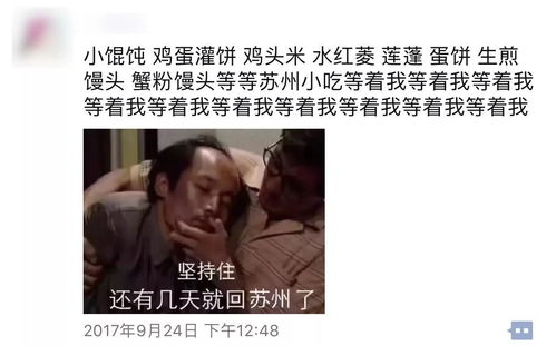 苏小姐你嫁错人了残疾陆总的第四任妻子短剧在线免费观看全集  苏小姐你嫁错人了，残疾陆总的第四任妻子，苏小姐你嫁错人了，残疾陆总的第四任妻子在线免费观看全集--第1张