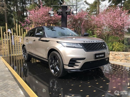 揽胜星脉2022款价格_揽胜星脉2021款图片--第1张