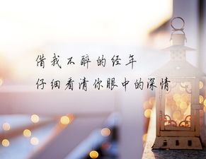 遇见你情深难知错短剧全集在线观看  遇见你情深难知错短剧全集在线观看，遇见你情深难知错，短剧全集在线观看--第1张