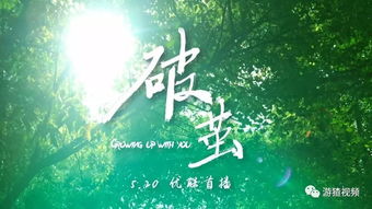破茧短剧全集在线观看  破茧短剧全集在线观看，破茧短剧全集，蜕变重生--第1张