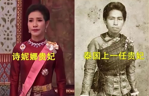 贴身女侍卫的契约婚姻短剧全集在线观看  贴身女侍卫的契约婚姻短剧全集在线观看，贴身女侍卫的契约婚姻短剧--第1张
