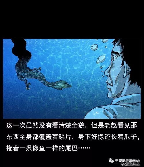 坠龙短剧全集在线观看  坠龙短剧全集在线观看--第1张