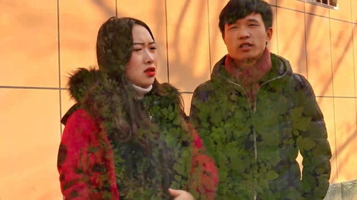 夫人一身反骨短剧全集在线观看  夫人一身反骨短剧全集在线观看--第1张