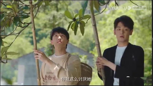 似是故人来短剧全集在线观看  似是故人来短剧全集在线观看，似是故人来短剧全集在线观看，一部充满情感与回忆的短剧--第1张
