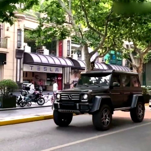 奔驰大g4x4多少钱_奔驰大g4x4g500多少钱--第1张