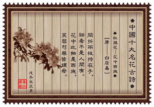 恰似人间芳菲尽短剧全集在线观看  恰似人间芳菲尽短剧全集在线观看，人间芳菲尽，短剧全集在线观看--第1张