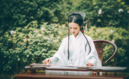 南风知君意吹梦藕花洲长篇短剧全集在线观看  南风知君意吹梦藕花洲，长篇短剧全集在线观看，南风知君意，藕花洲长篇短剧在线观看--第1张