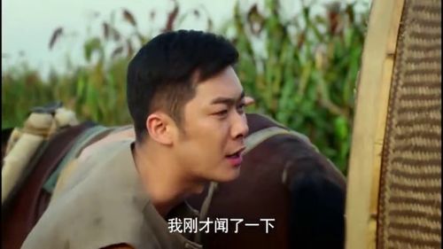 男神爹地快回家短剧全集在线观看  男神爹地快回家短剧全集在线观看，男神爹地快回家免费短剧全集在线观看--第1张