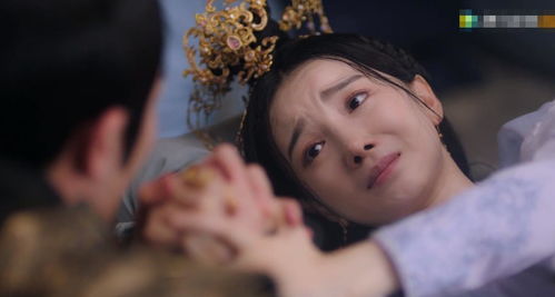 容少夫人又又又逃了短剧全集在线观看  容少夫人又又又逃了短剧全集在线观看，容少夫人又又又逃了短剧在线观看，全集版--第1张